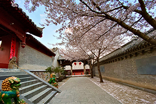 少林寺释延诚法师摄影作品