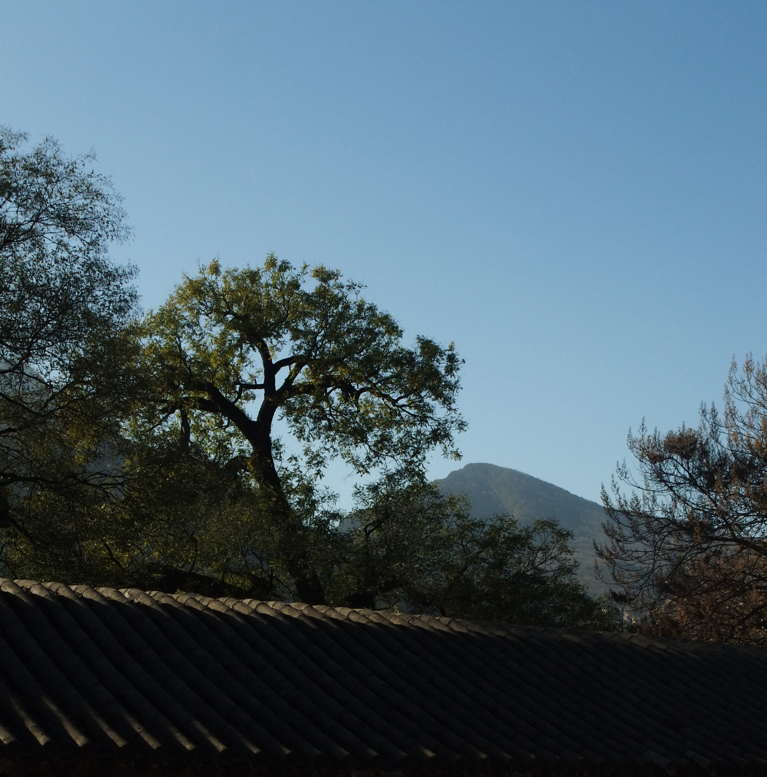 DSCF0680.JPG