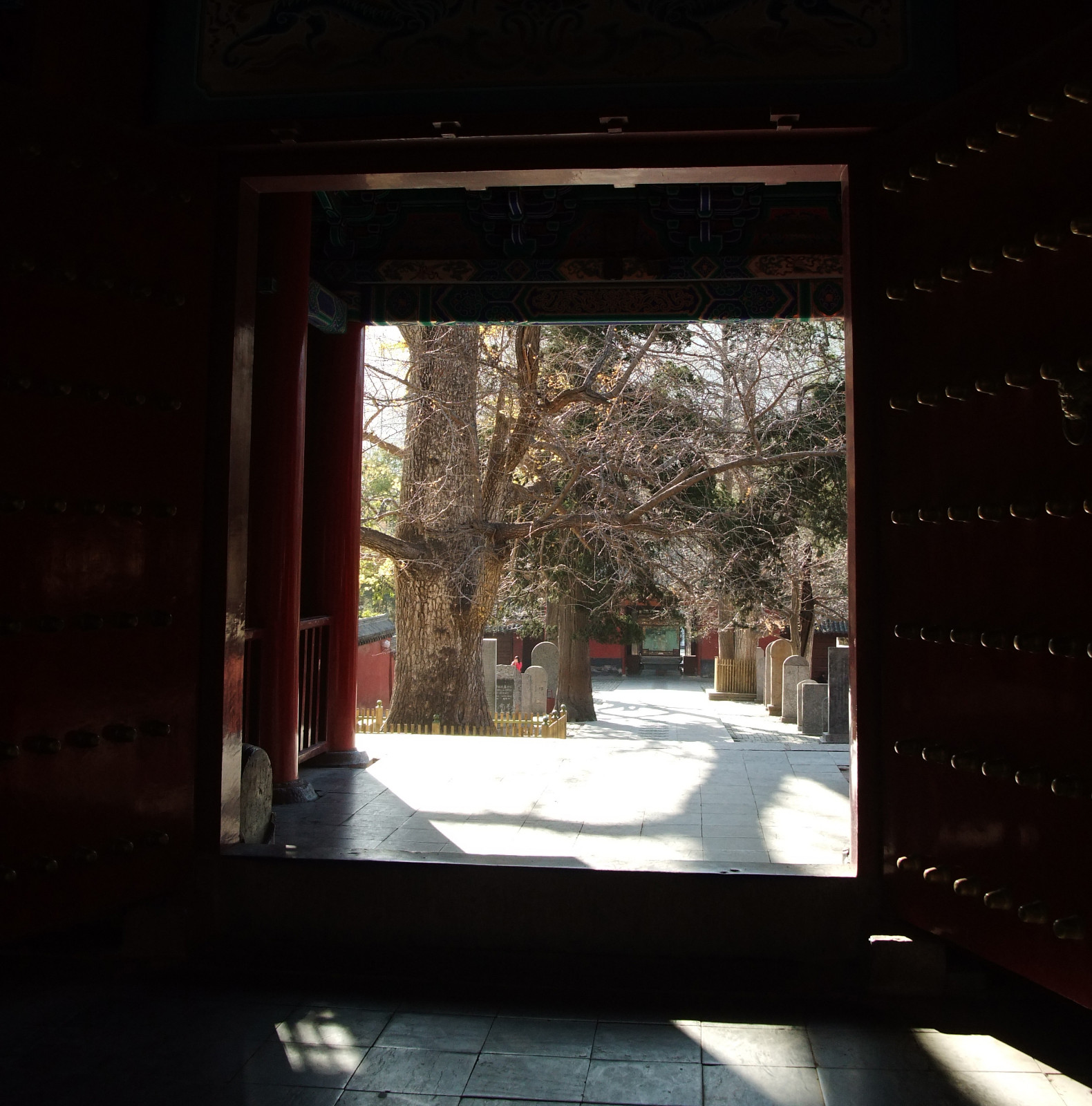 DSCF0692.JPG