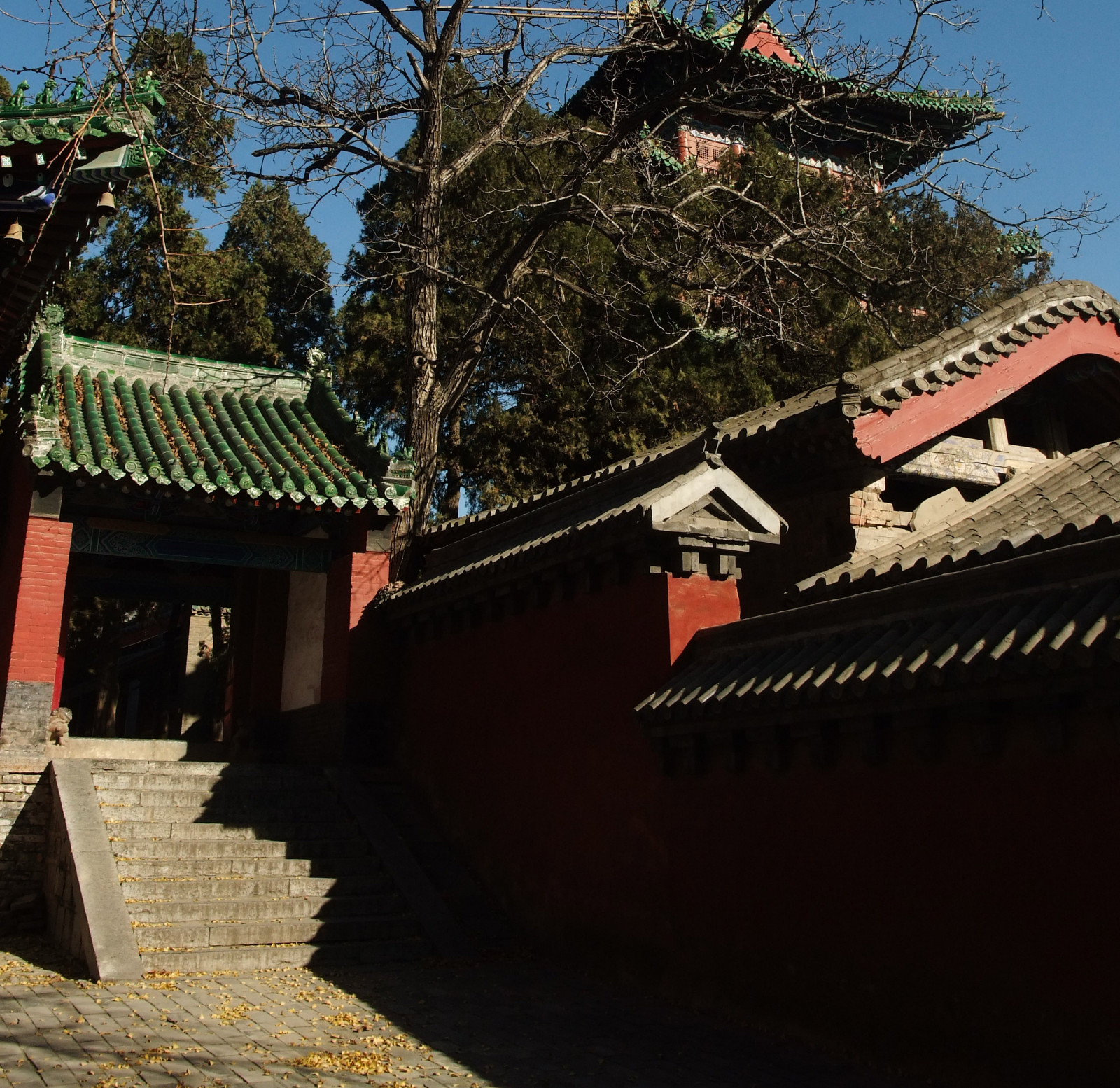 DSCF0698.JPG