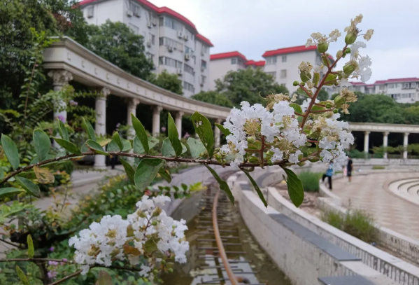 QQ截图20210811100311.png