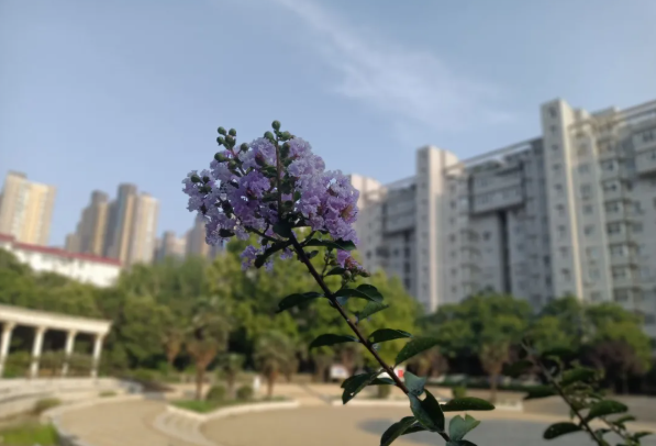 QQ截图20210811100355.png