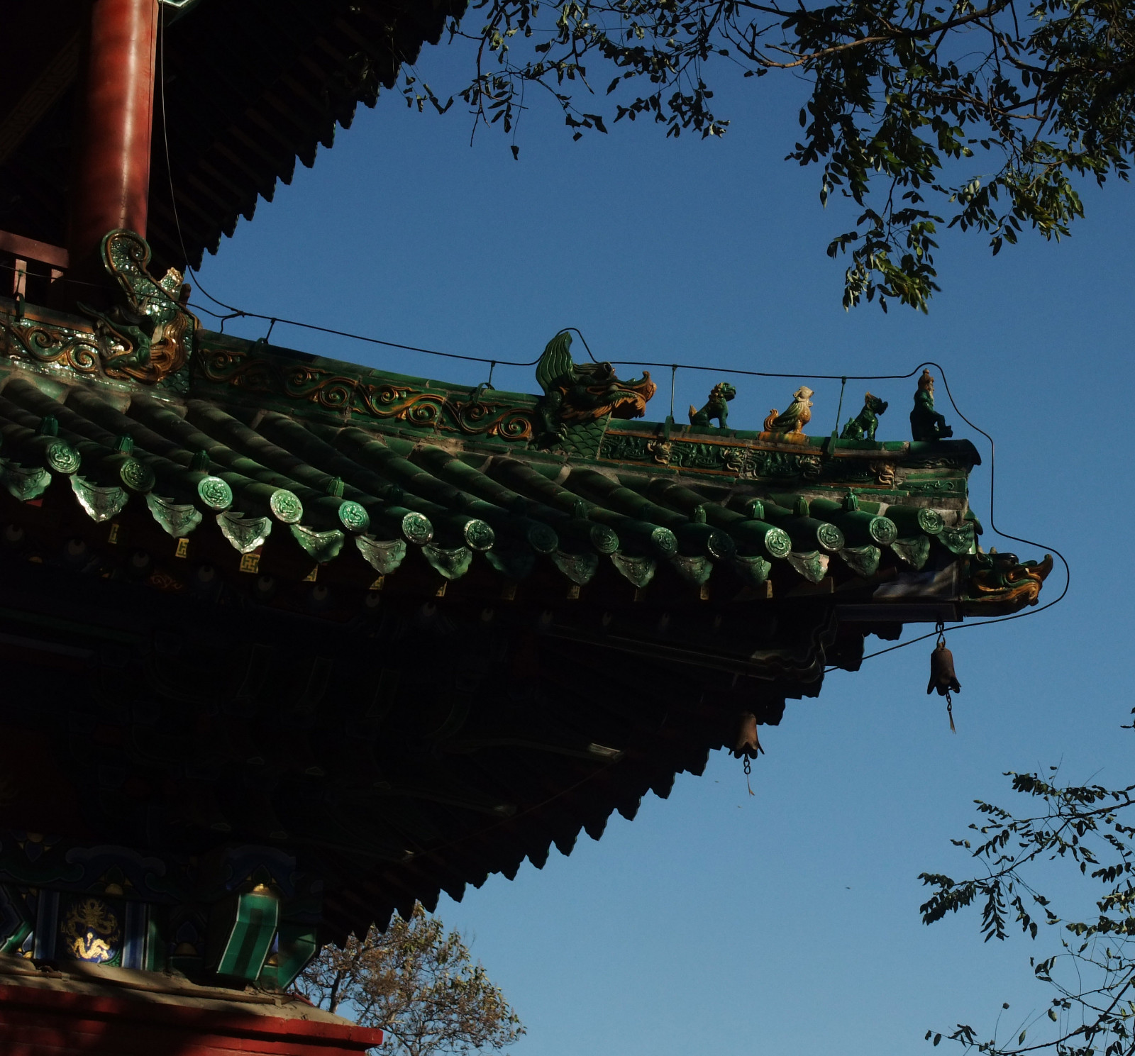 DSCF0711.JPG