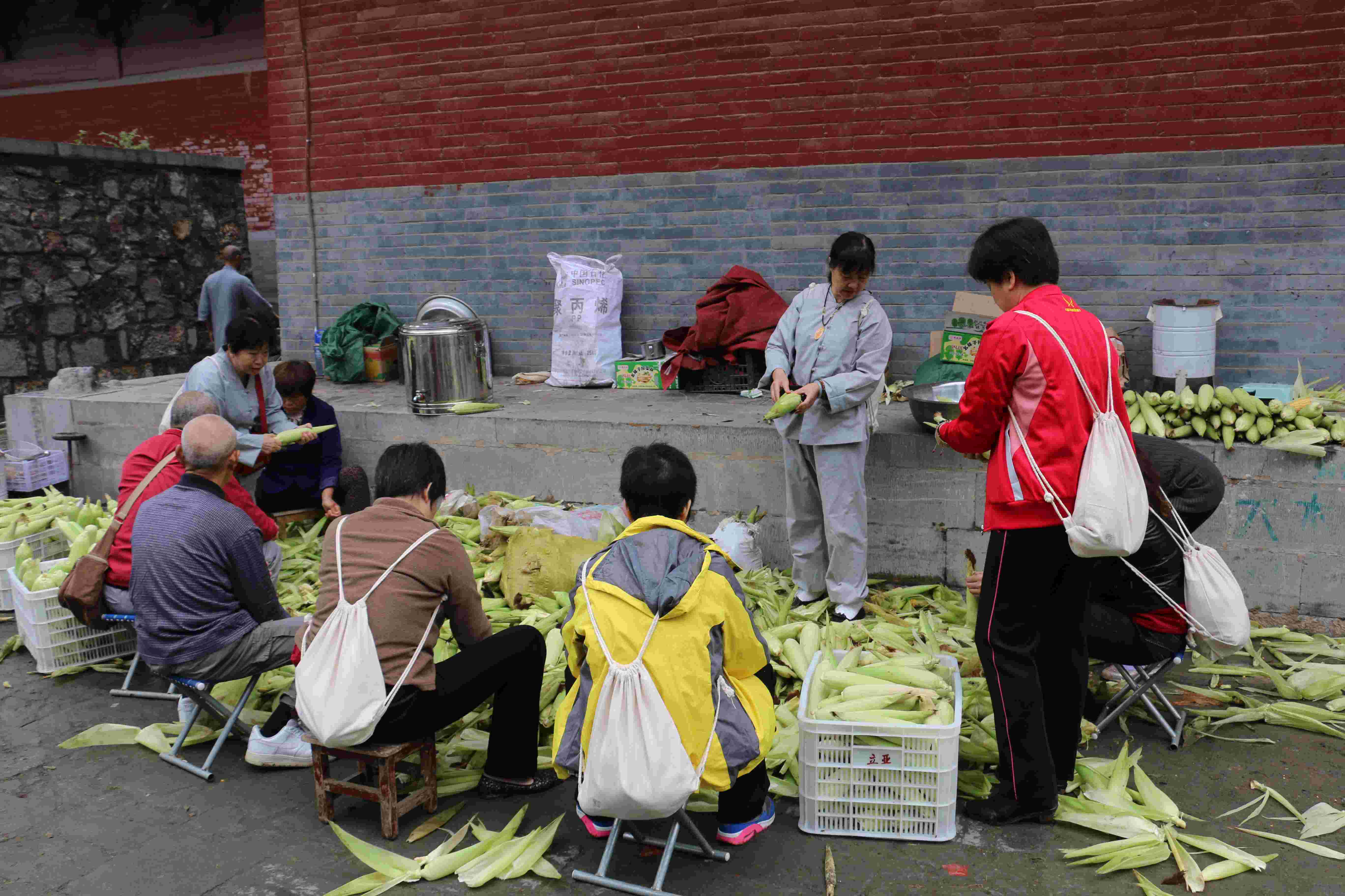 A Glimpse of Volunteers