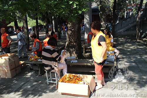 A Glimpse of Volunteers