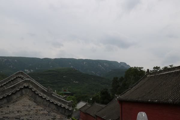 IMG_5472.JPG
