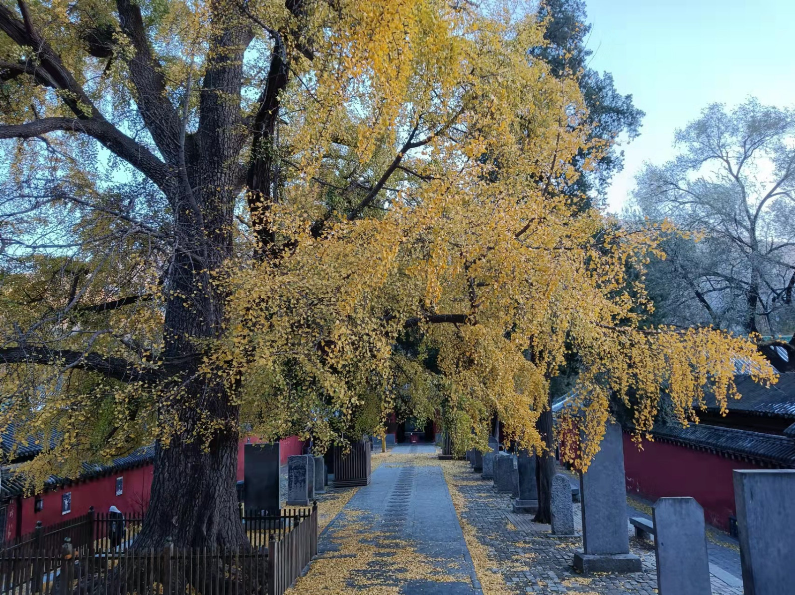 微信图片_20211123134230.jpg