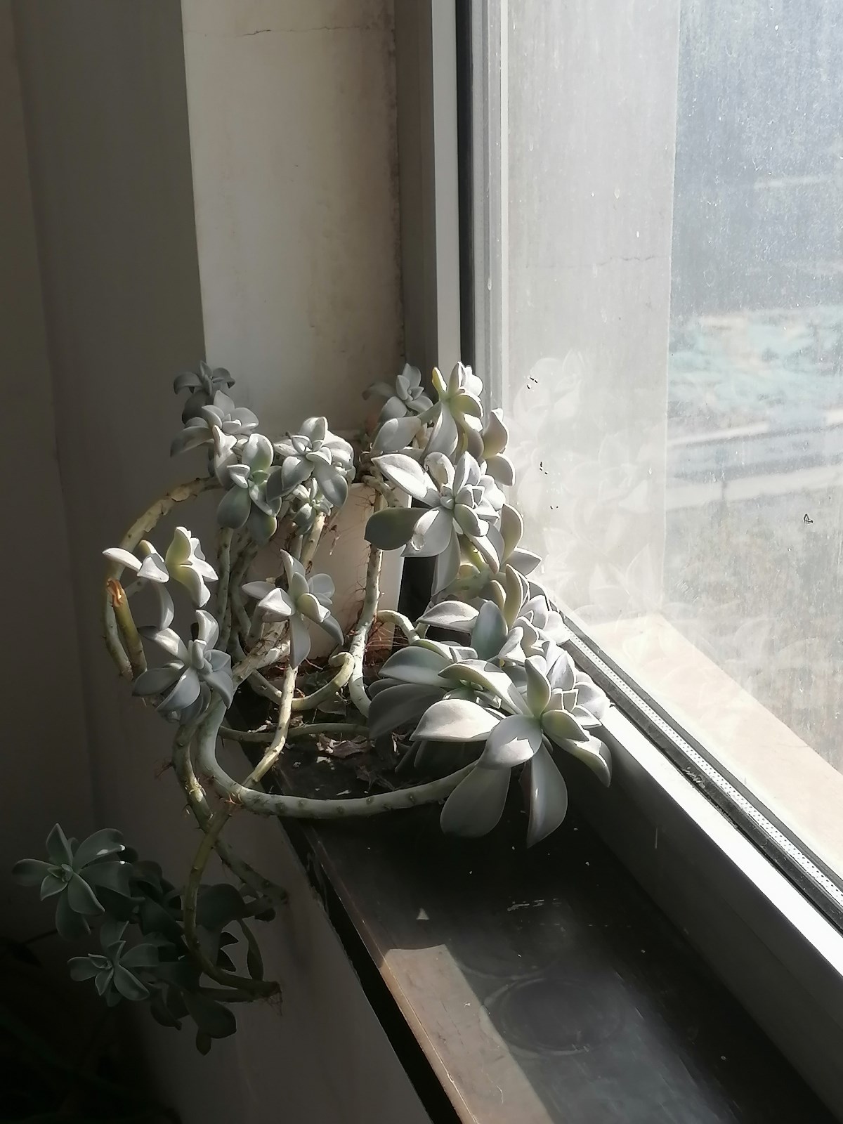 微信图片_20211207100240.jpg