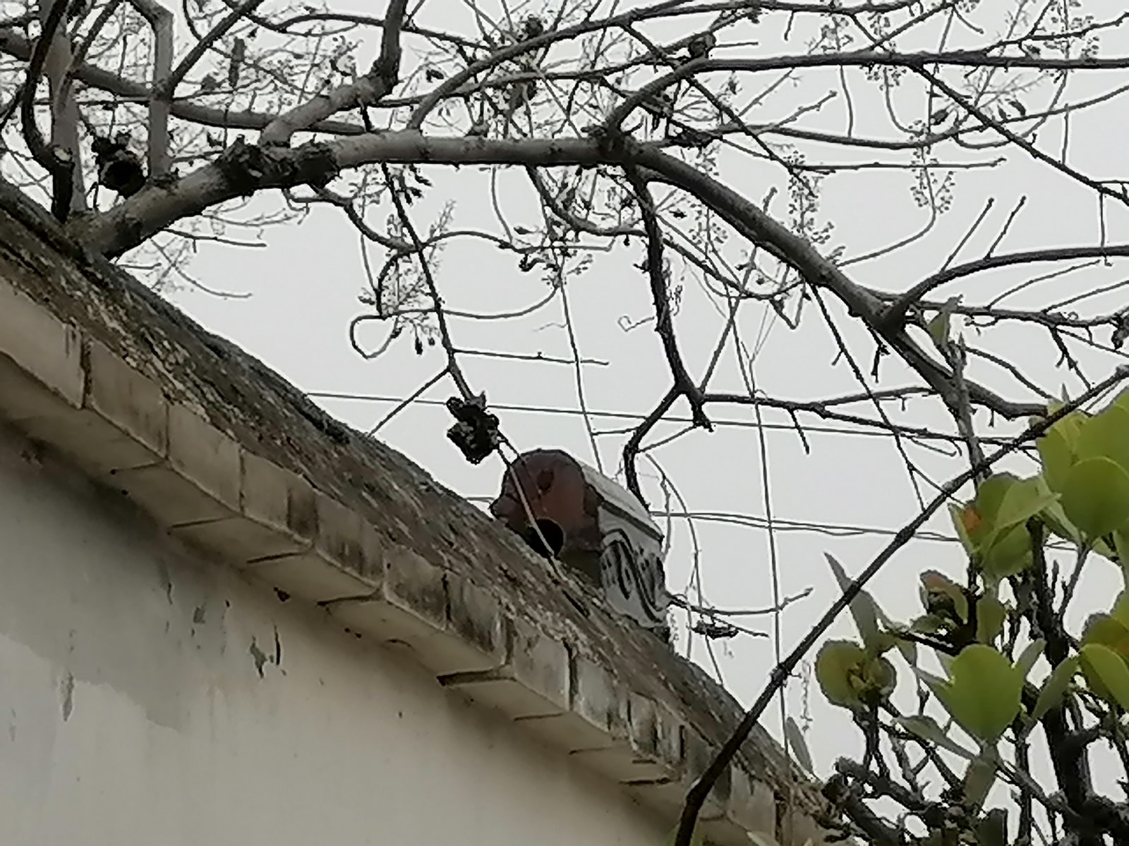 微信图片_20211224095939.jpg