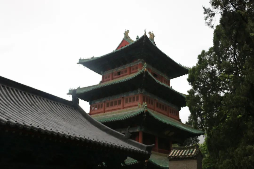 233.jpg
