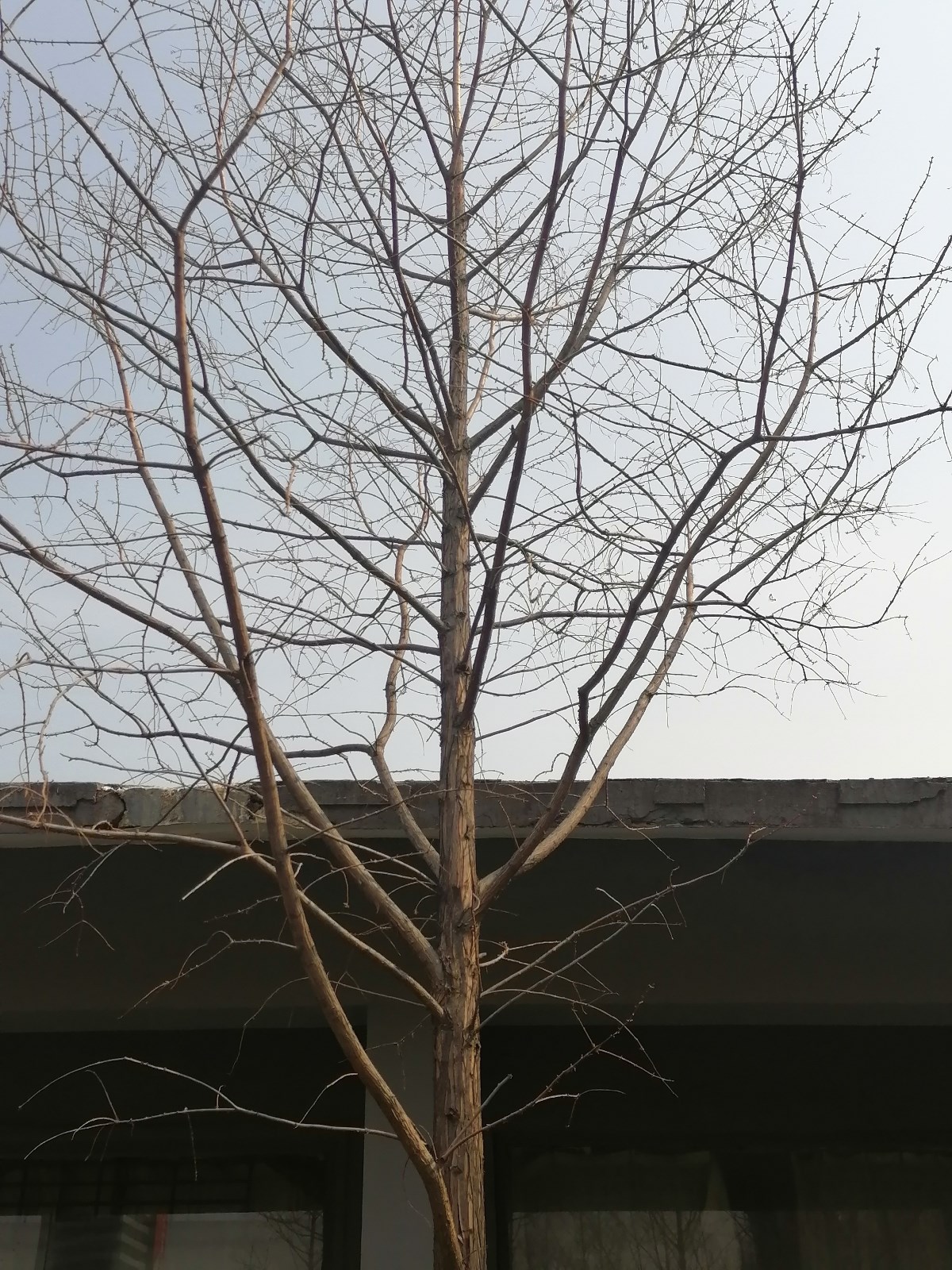 微信图片_20220224095447.jpg