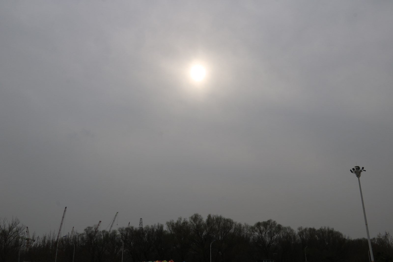 IMG_2701.JPG