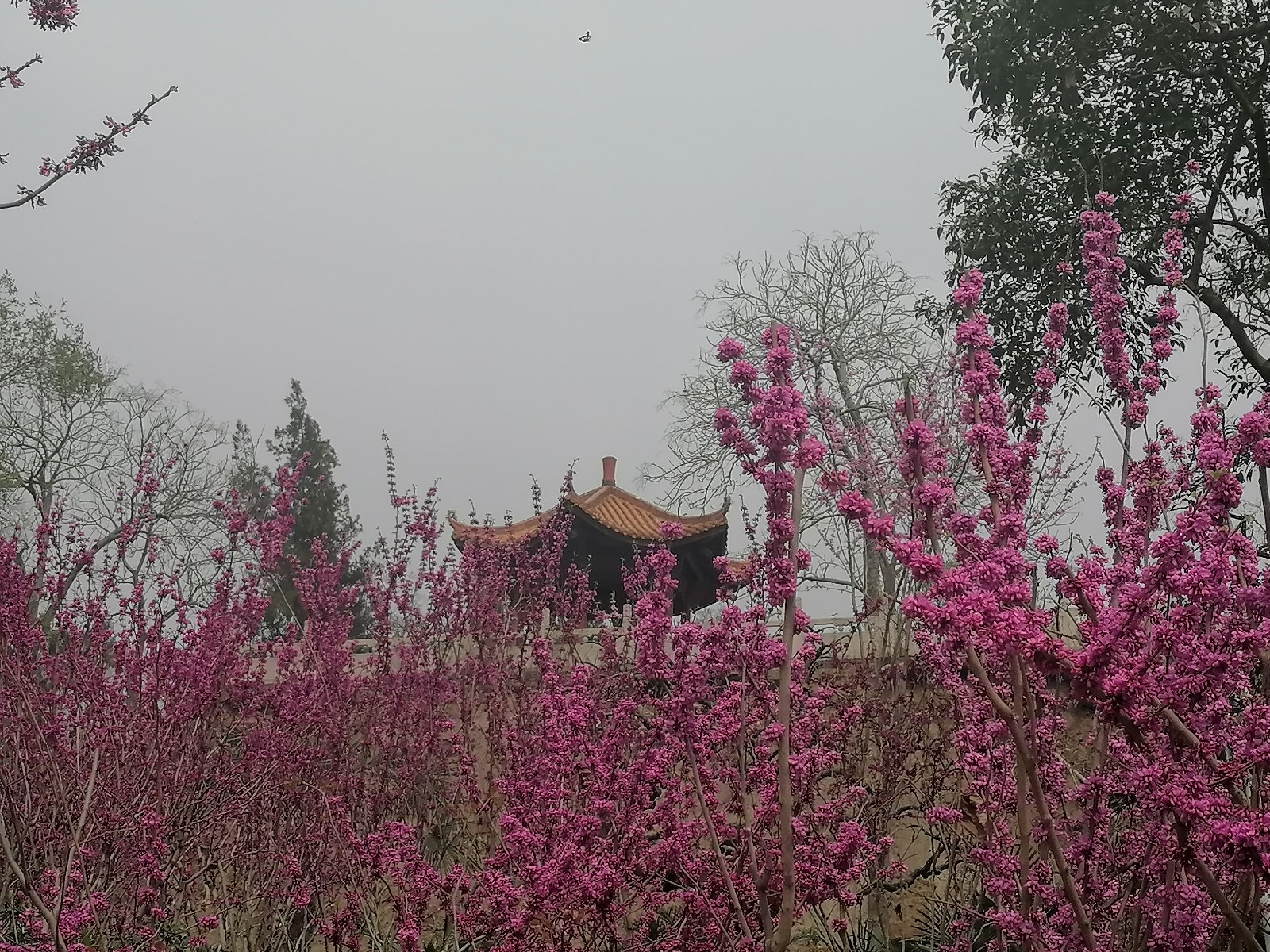 微信图片_20220318101328.jpg