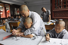 Shaolin Kungfu Study