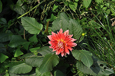 Buddhism Cultivating Good Conduct