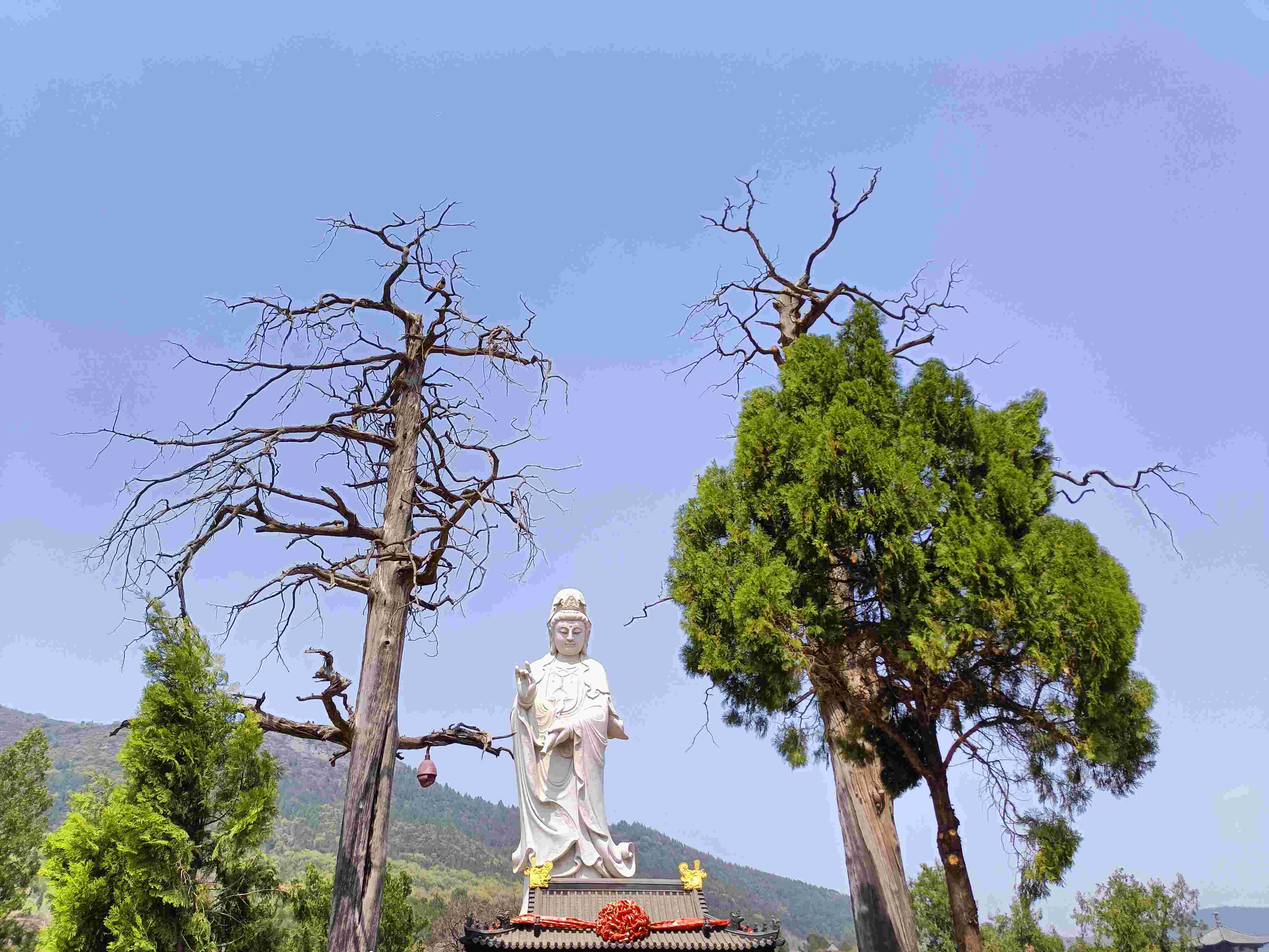 探索少林足球背后的文化与理念