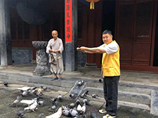 【我在少林做义工】古刹千年，岳中雄居——在少林寺做义工有感